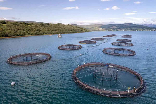 BNCC Aquatic Virus Standards Newly Launched