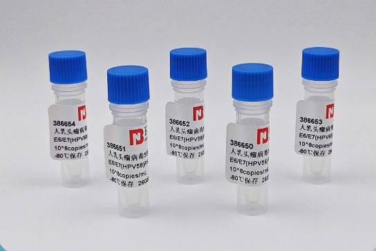 BNCC has launched HPV E6/E7 RNA standards