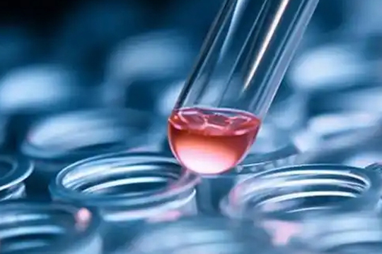 BNCC launches Ebola pseudovirus quality control products