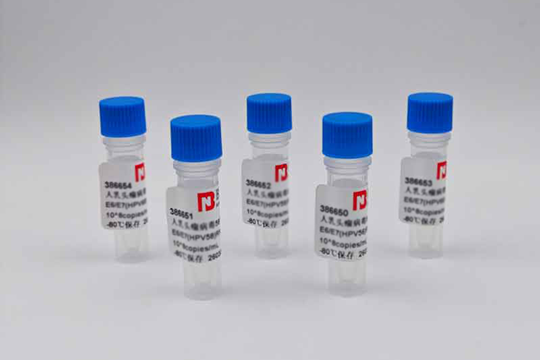 Essential for Laboratories! BNCC Anthrax CA/PA Gene Plasmid Standards