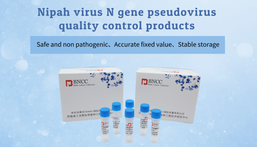 Key to Nipah virus prevention and control: BNGG integrated solution-BNCC