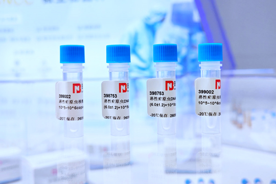 BNCC *Plasmodium falciparum* Biological Quality Control Product: Strengthening the Front Line of Malaria Detection