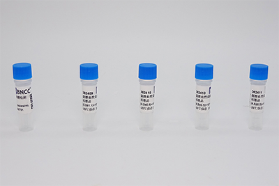Severe epidemic situation, detection upgrade丨BNCC pathogenic nucleic acid detection standard products made another breakthrough.